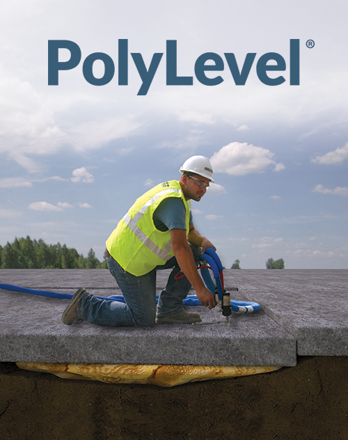 PolyLevel logo
